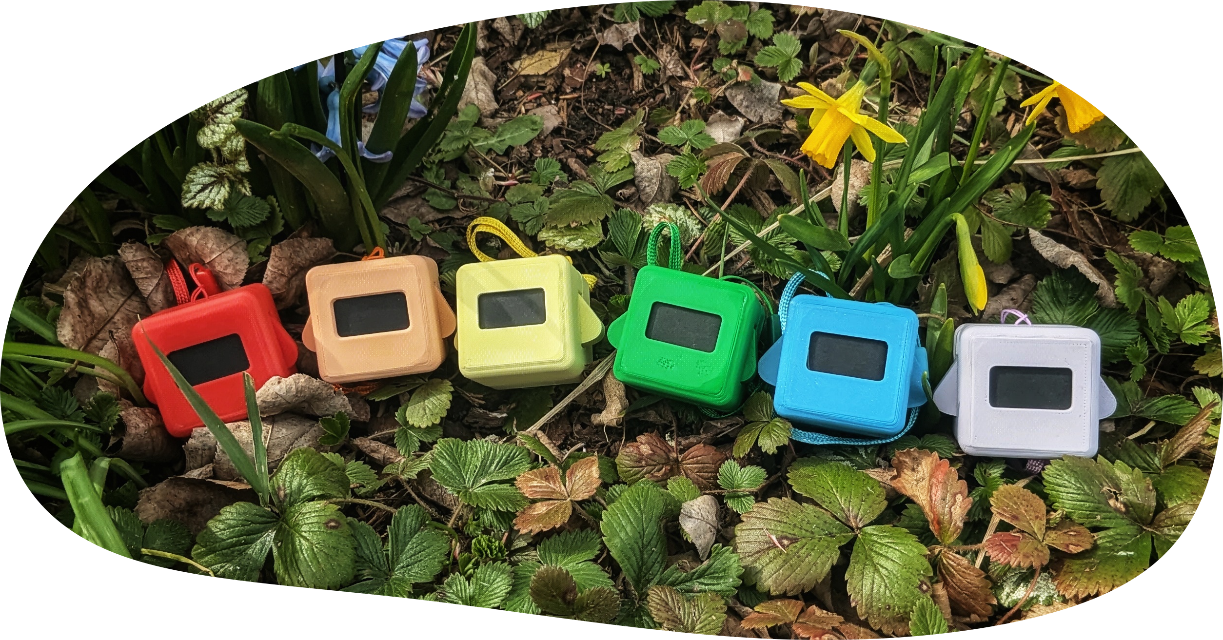 Pride flag made up of six coloured Precious Blocks, placed between a couple of flowers